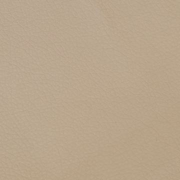 Silvia 23